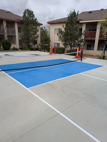 Pickleball court